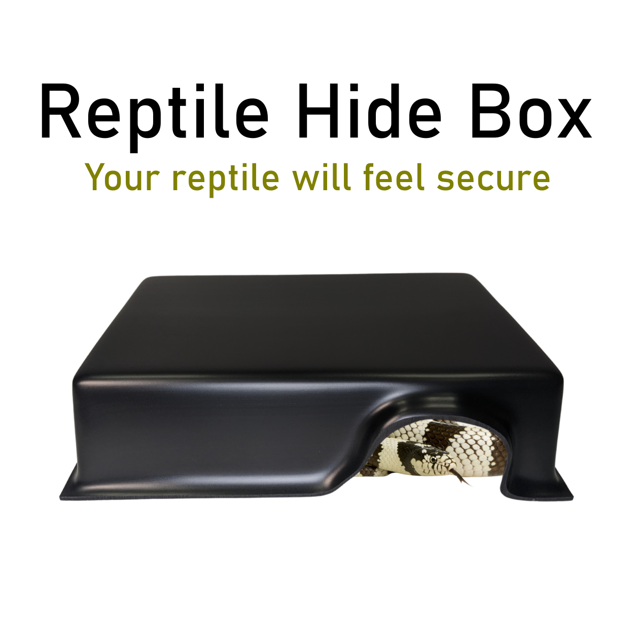 Reptile Hide, Black PVC, Lizard Gecko Snakes and Ball Python